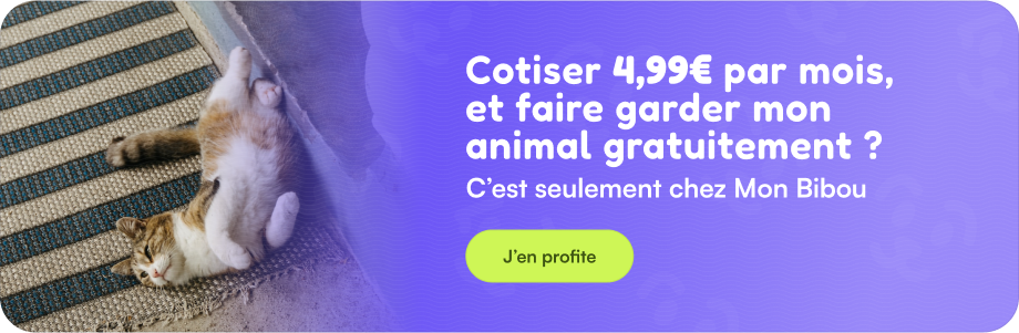 cotiser 4,99€ par mois pour faire garder gratuitement son chat, c'est uniquement chez mon-bibou.fr