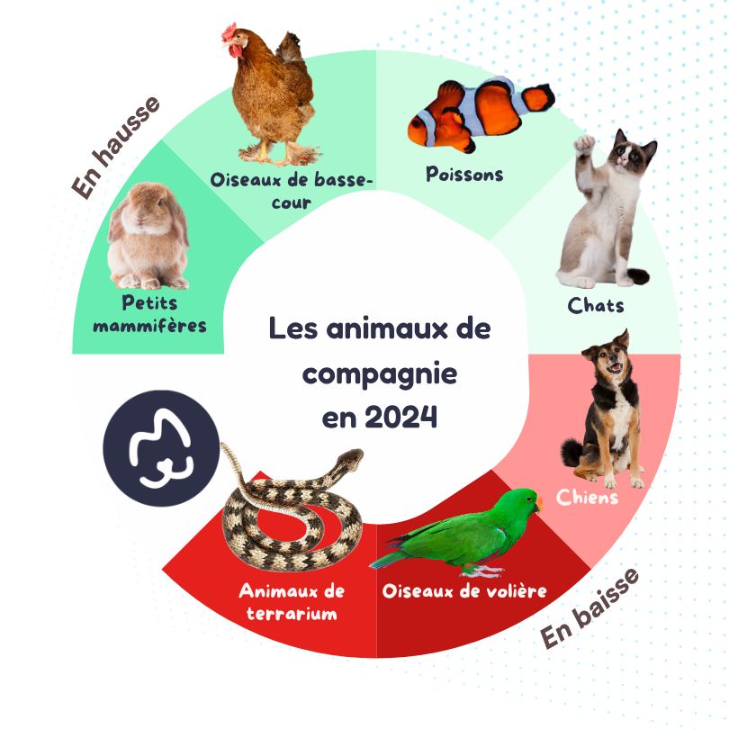 évolution des especes d'animaux de compagnie en France en 2024