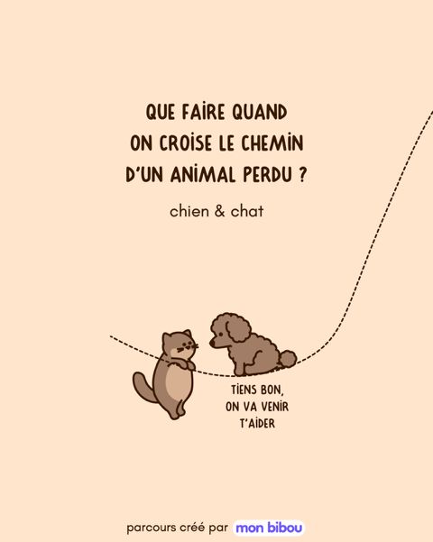Que faire quand on croise le chemin d'un animal perdu 1