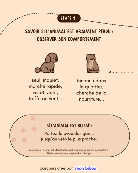 Que faire quand on croise le chemin d'un animal perdu 2
