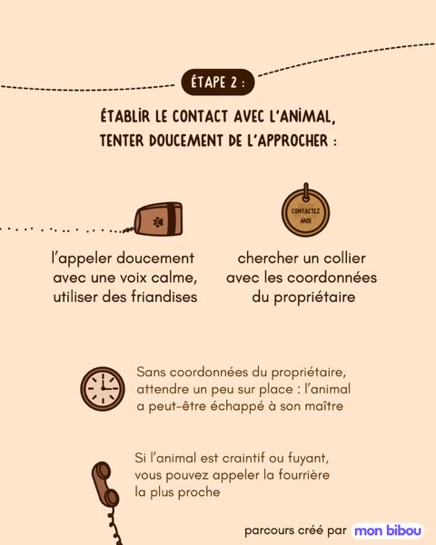 Que faire quand je trouve un animal perdu 