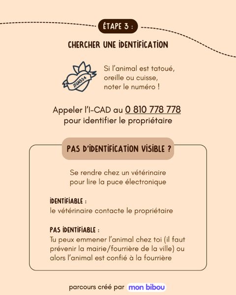 Tuto : je trouve un animal perdu 