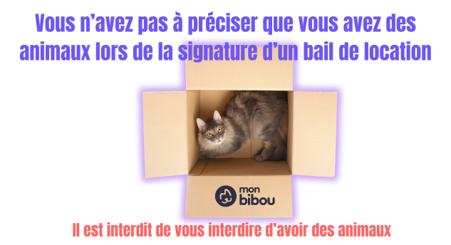 Location et animaix, ce que dit la loi