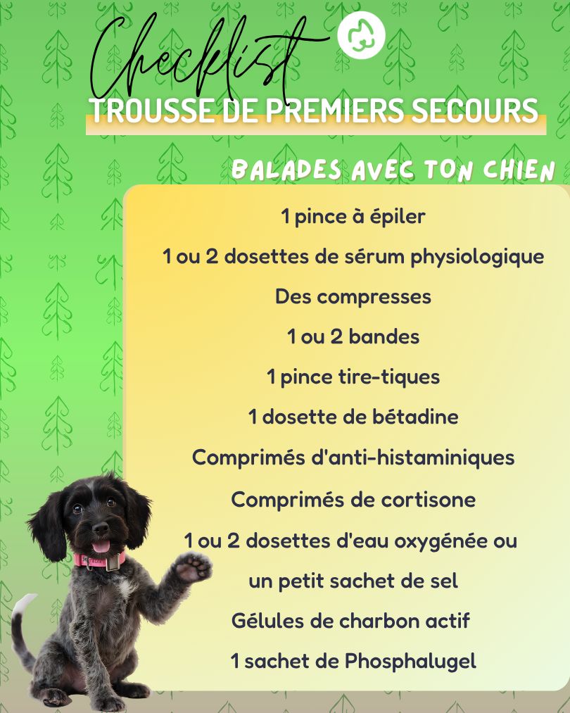 Cheklist trousse de secours promenande chien