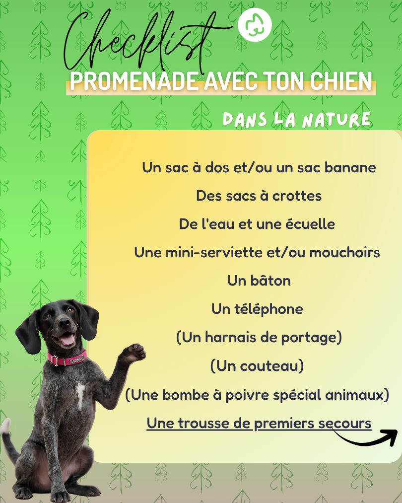 chekliste nécessaire pour un promenade avec son chien