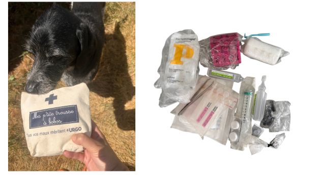 trousse de secours pour chien