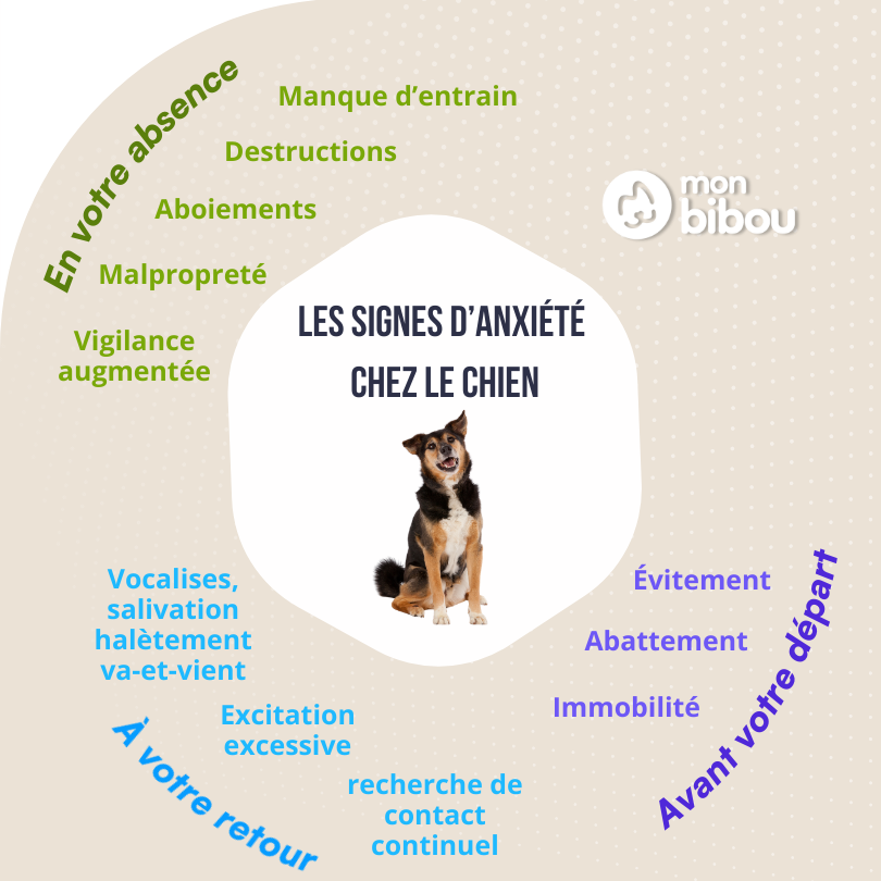 les signs d'anxiété chez le chien