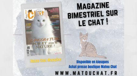 Matou Chat, le magazine français 100% dédié aux chats