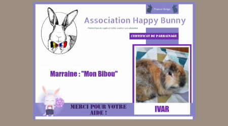 Parrainage d'Ivar, lapin sauvé par l'association franco-belge Happy Bunny
