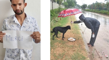Don aux chiens des rues d'Anubhav en Inde