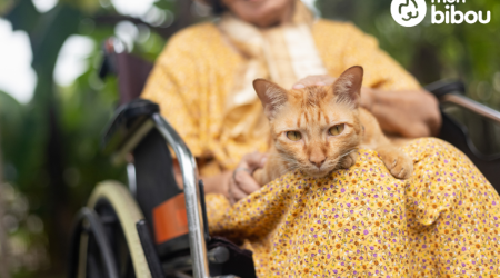 En quoi consiste les services à la personne (SAP) et les gardes d’animaux en font-elles partie ?