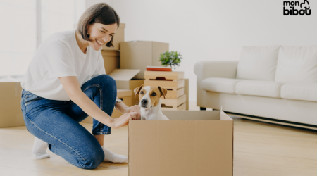Location de logement et animaux : ce que dit (vraiment) la loi