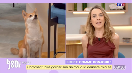 Bonjour La Matinale de TF1 présente le modèle solidaire de gardes d'animaux Mon Bibou
