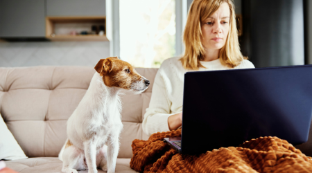 Vous cherchez un cadeau attentionné pour un propriétaire d'animal ? Voici celui dont tous raffolent !