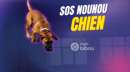 Recherche hébergement avec jardin à Pontault Combault ou Île de France