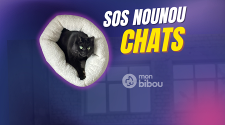 Recherche gardien pour des visites à domicile à Vaulx en Velin