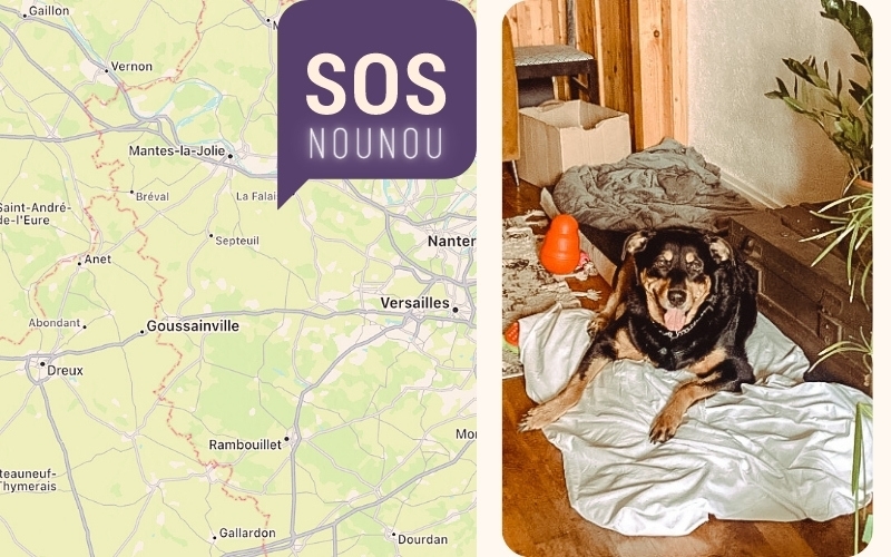 6 mai - garde chien - cause hospitalisation - Val d'Oise