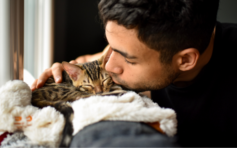 Quel est le meilleur moment pour adopter un animal : les conseils de Mon Bibou.