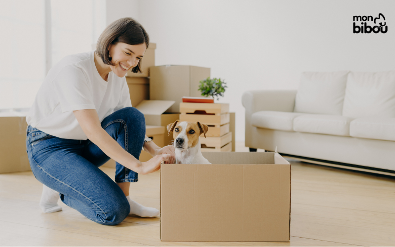Location de logement et animaux : ce que dit (vraiment) la loi