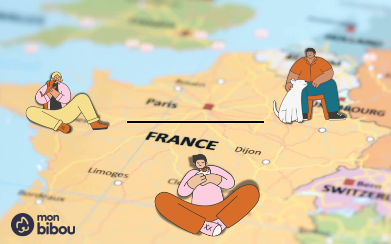 Combien y a-t-il d'animaux de compagnie en France ? Les chiffres de 2024