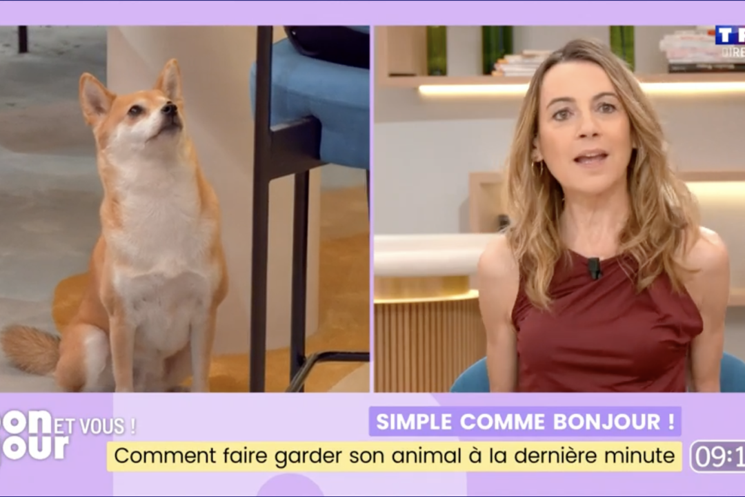 Bonjour La Matinale de TF1 présente le modèle solidaire de gardes d'animaux Mon Bibou