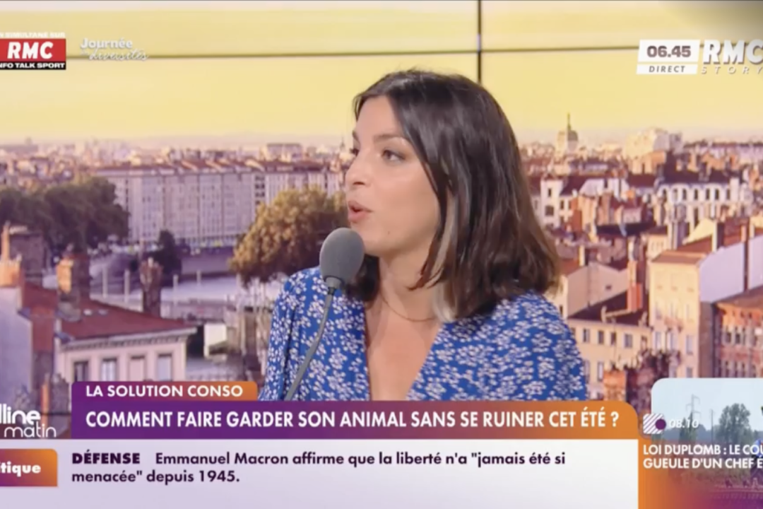Vacances : comment faire garder son animal de compagnie sans se ruiner ?