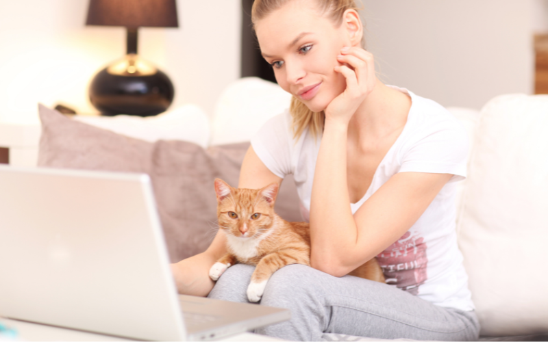 Tuto : Comment faire une demande de garde auprès des petsitters du réseau mon-bibou. fr ?