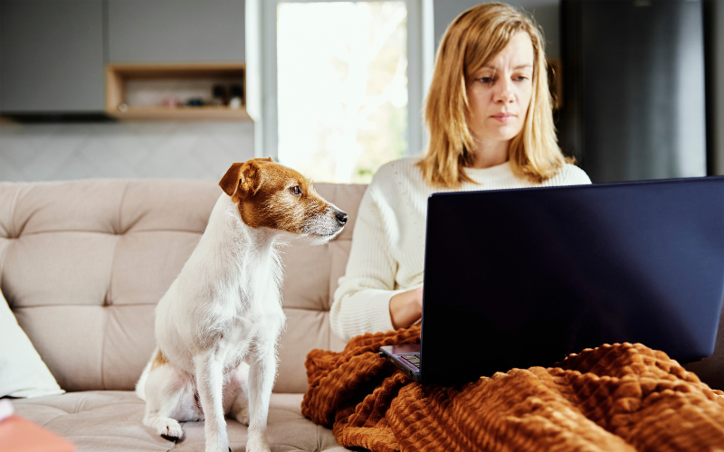 Vous cherchez un cadeau attentionné pour un propriétaire d'animal ? Voici celui dont tous raffolent !