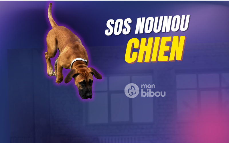 Recherche hébergement avec jardin à Pontault Combault ou Île de France