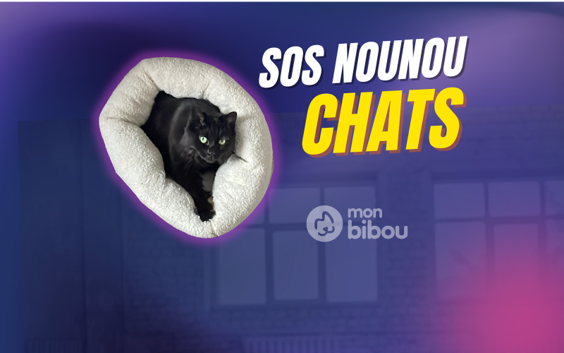 Recherche gardien pour des visites à domicile à Vaulx en Velin