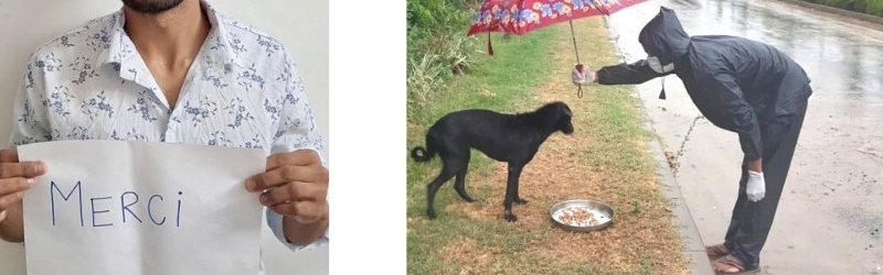 Don aux chiens des rues d'Anubhav en Inde