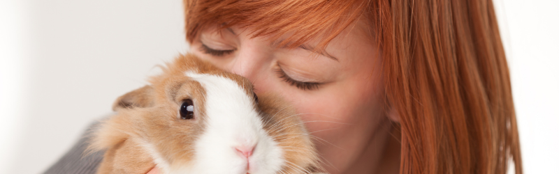 Comment savoir si mon lapin est heureux ? Les signes qui ne trompent pas