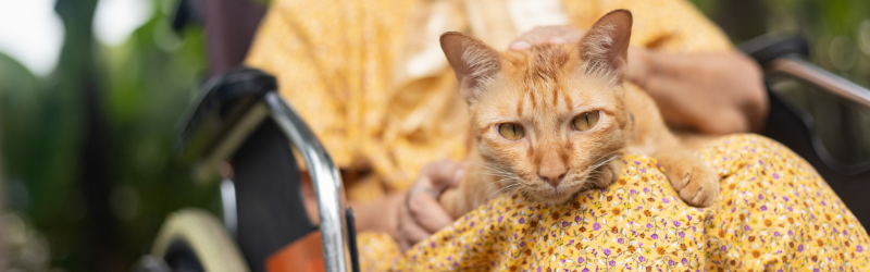 En quoi consiste les services à la personne (SAP) et les gardes d’animaux en font-elles partie ?