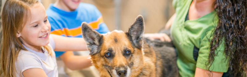 Pourquoi verser une contribution solidaire pour entrer dans le réseau Mon bibou ?