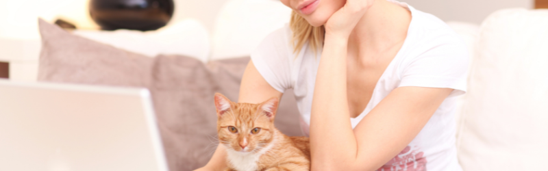 Tuto : Comment faire une demande de garde auprès des petsitters du réseau mon-bibou. fr ?