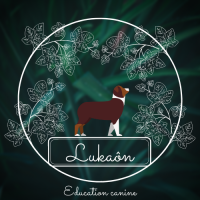 lukaon.educationcanine@gmail.com