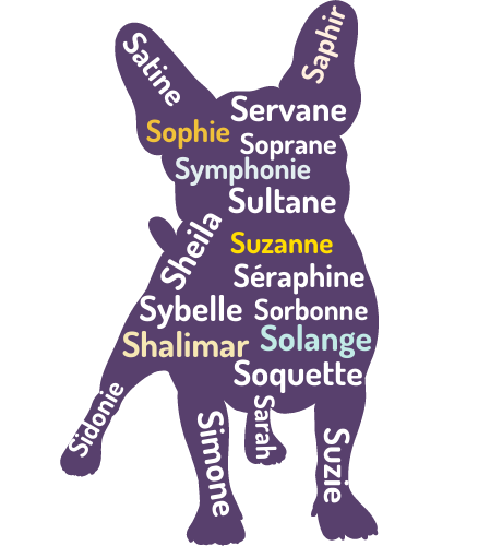 image d'un bouledogue avec prénoms a consonance francophone en S