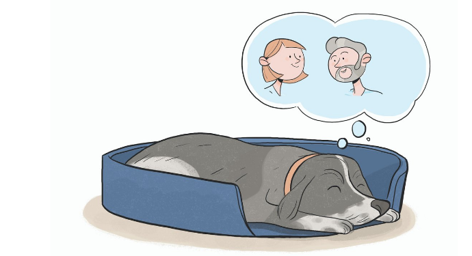 illustration bd d'un chiot endormi, rêvant à ses parents