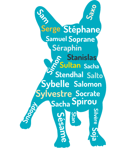 prénoms francophones en S pour animaux masculins