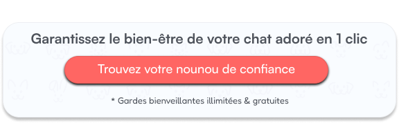 Garantissez le bien-être de votre chat adoré en 1 clic