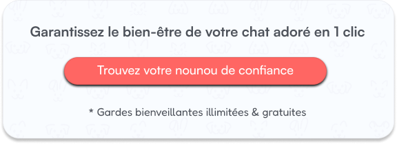 Garantissez le bien-être de votre chat adoré en 1 clic