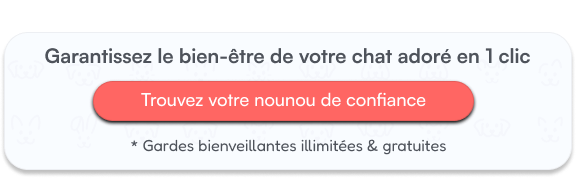 Garantissez le bien-être de votre chat adoré en 1 clic