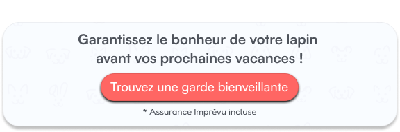 Garantissez le bonheur de votre lapin  avant vos prochaines vacances !