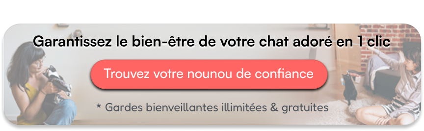 Garantissez le bien-être de votre chat adoré en 1 clic