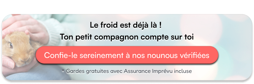 Le froid est là ! Ton petit compagnon compte sur toi