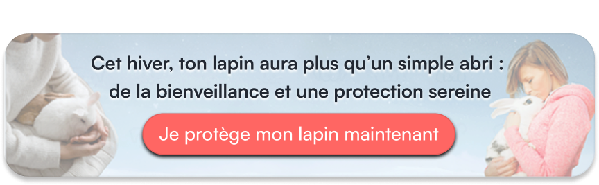 Cet hiver, ton lapin aura plus qu’un simple abri : de la bienveillance et une protection sereine
