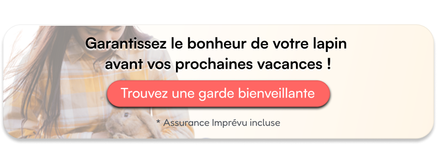 Garantissez le bonheur de votre lapin  avant vos prochaines vacances !