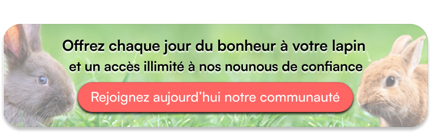 Offrez chaque jour du bonheur à votre lapin  et un accès illimité à nos nounous de confiance