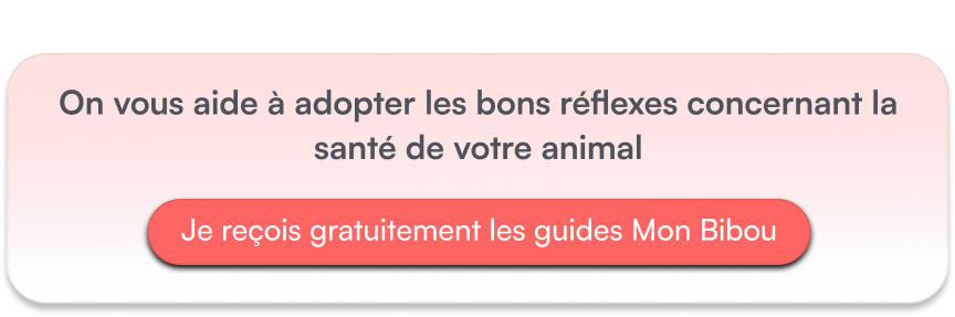 téléchargez les guides bien-être de mon Bibou pour vos animaux