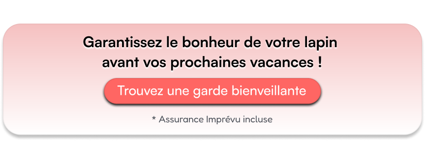 Garantissez le bonheur de votre lapin avant vos prochaines vacances !